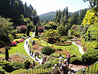 Buchart Gardens are magnificient